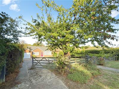 Picture 23